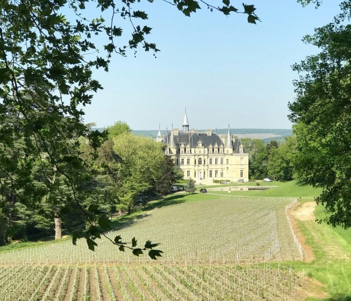 Animate this_compressed_image