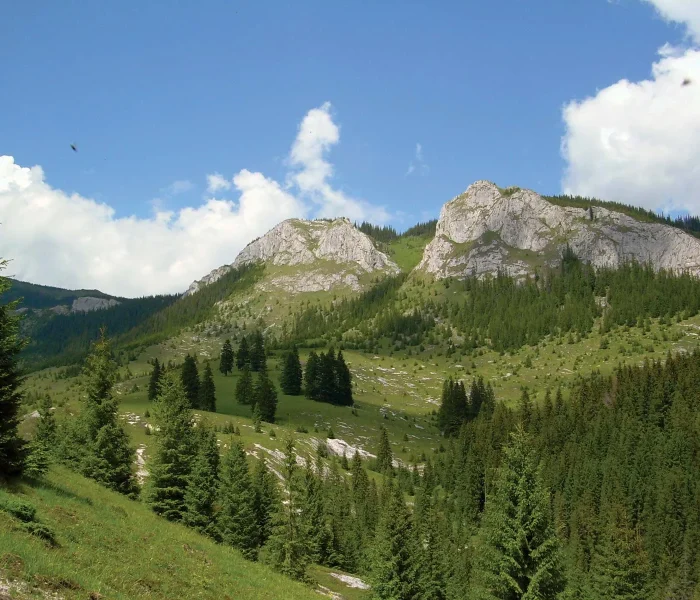 Peaks-part-Bihor-Massif-Apuseni-Mountains-Western