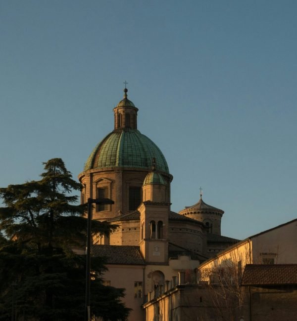 adrian-negura-7otWIsLR-k4-unsplash (1)