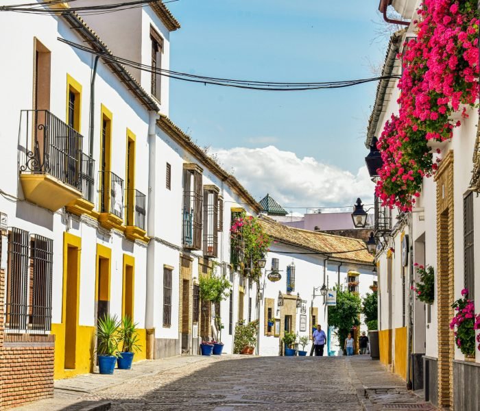 alex-c1Db0vUFD-Y-unsplash (1)