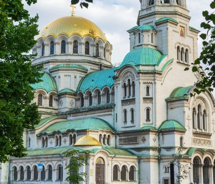 alf-redo-A9dNADohsBk-unsplash (1)