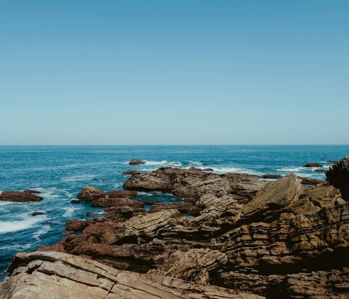 alin-gavriliuc-SDlY3B6cF7U-unsplash (1)