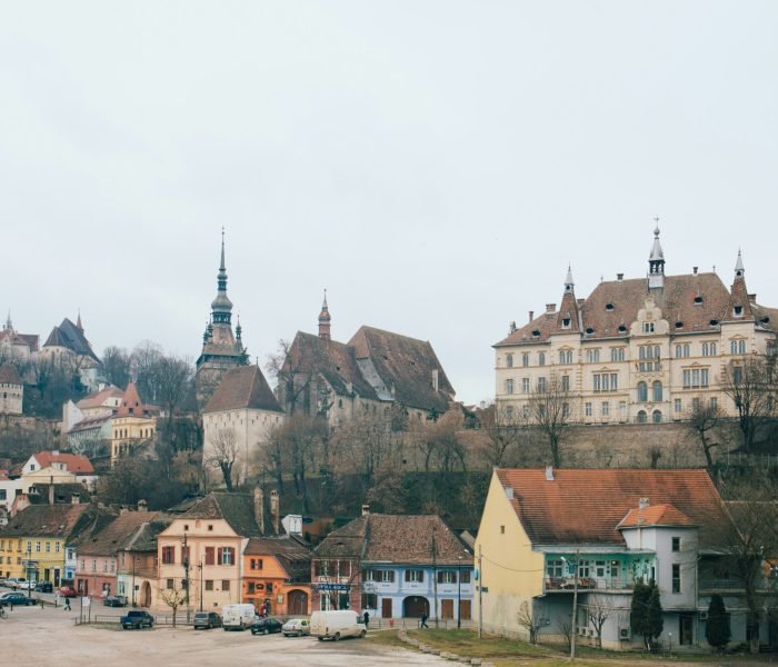 alisa-anton-VJSUSrgN56w-unsplash (1)