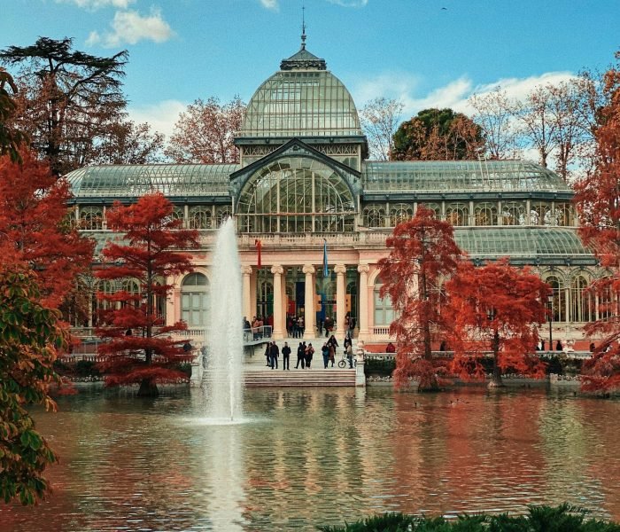 alvaro-bernal-nlimH6wxY_I-unsplash (1) (1)