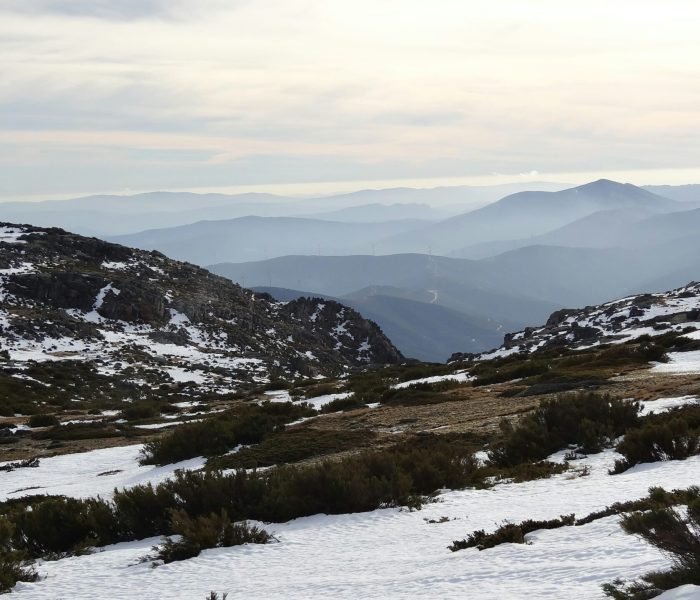 andre-ferreira-6aeL0ZUuQL4-unsplash (1)