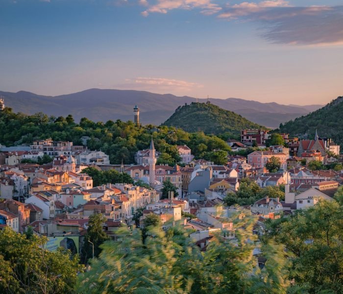 anton-atanasov-51ZyNzSevZo-unsplash (2) (1)