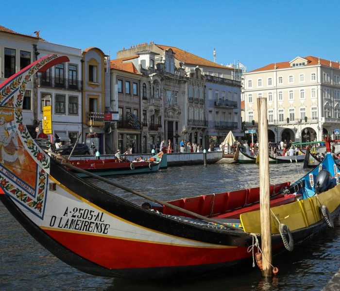 bruno-ferreira-pPI4wp0JxNo-unsplash (1)