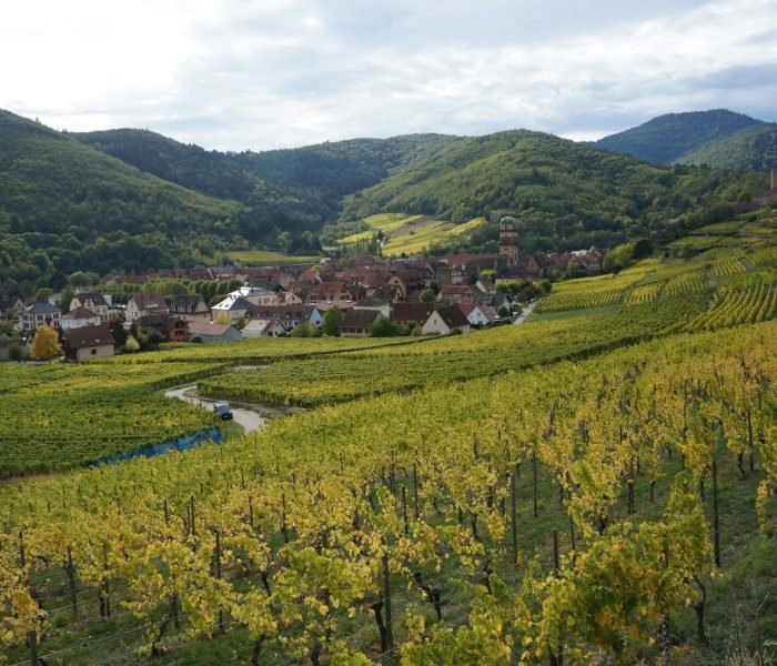 cecile-musy-TTEkReP50x4-unsplash (1)