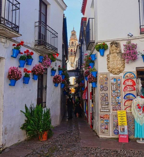 christian-hergesell-trKiBJo8S9s-unsplash (1)