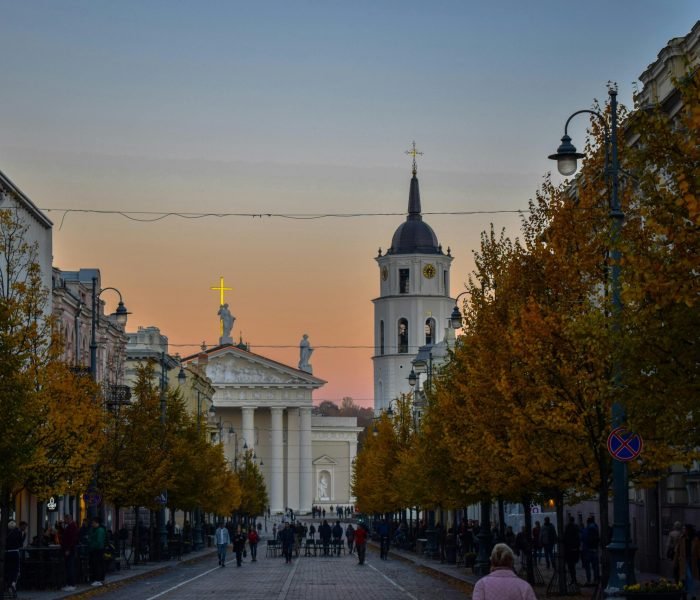 dan-marian-stefan-doroghi-yMyFR4UggNI-unsplash (1)