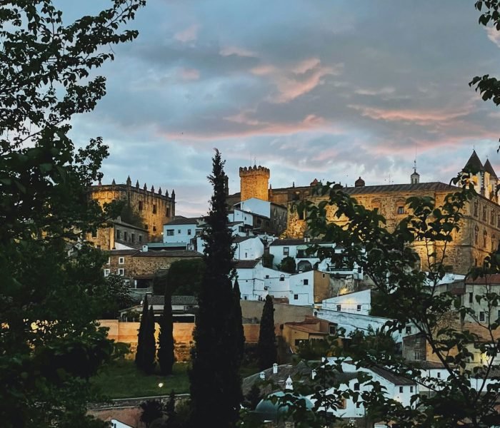 david-gil-de-la-canal-WtM7X8hbfVE-unsplash (1)