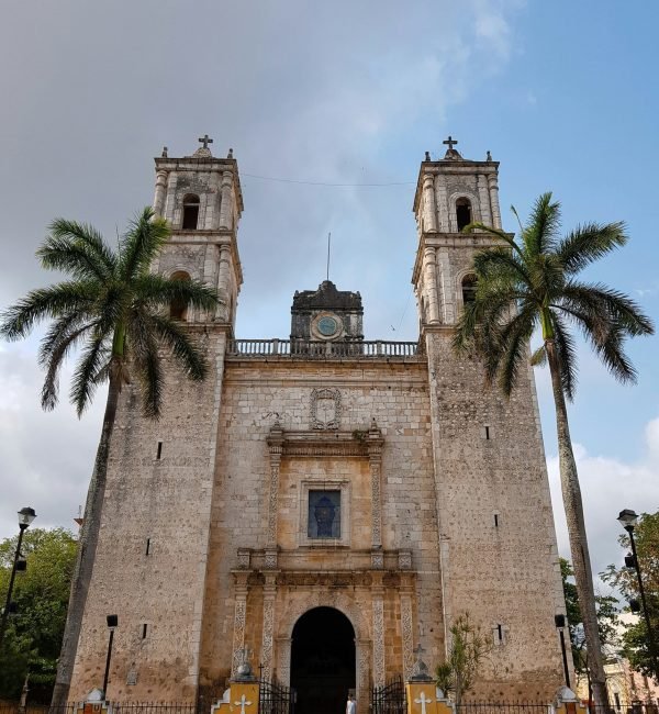 david-ortega-3qf513LXUNs-unsplash (1)