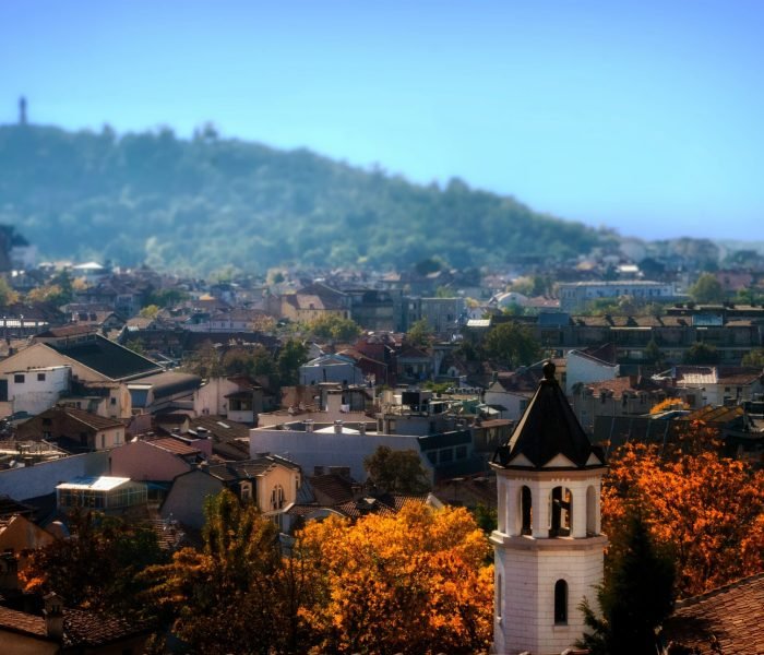 deniz-fuchidzhiev-SbxO-MsVVZE-unsplash (1)