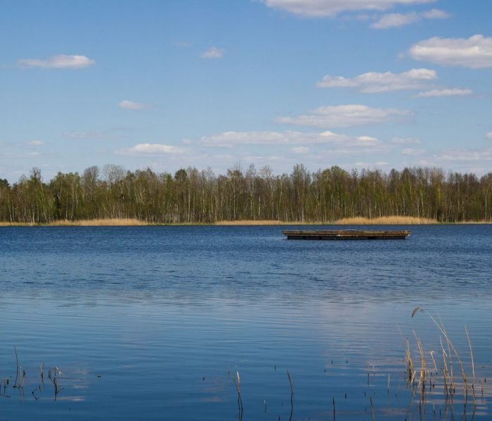 digital express YE compressed image (1)