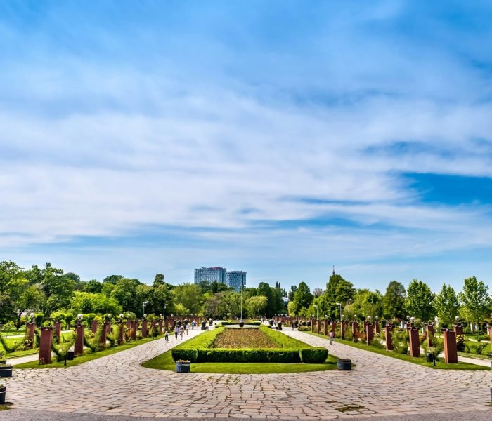 dragos-gontariu-q1weK5gTFfY-unsplash (1)