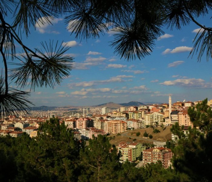 ekrem-osmanoglu-wM3vN11imhc-unsplash (1)