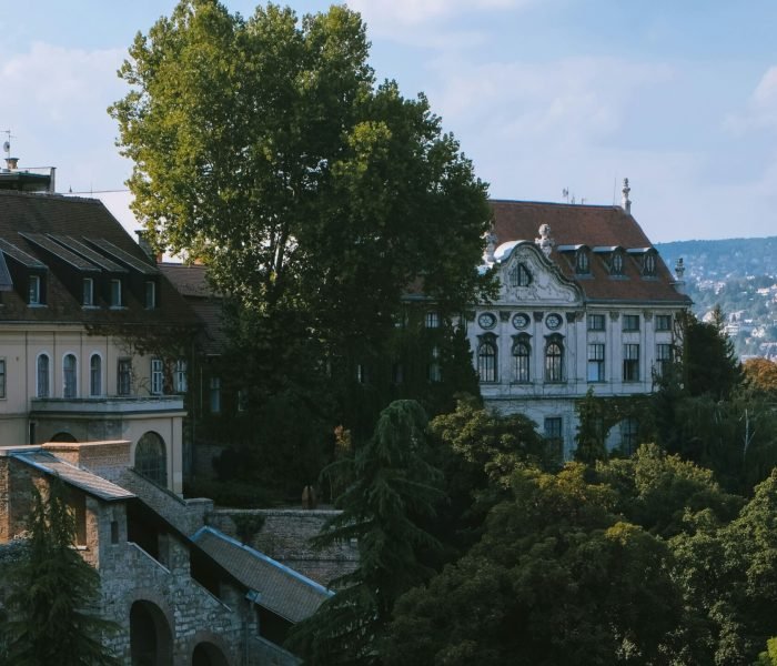 elijah-g-Md1jeZPNl1s-unsplash (1)