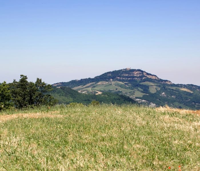 enrico-carnemolla-3ABSKsFZWrs-unsplash (1)