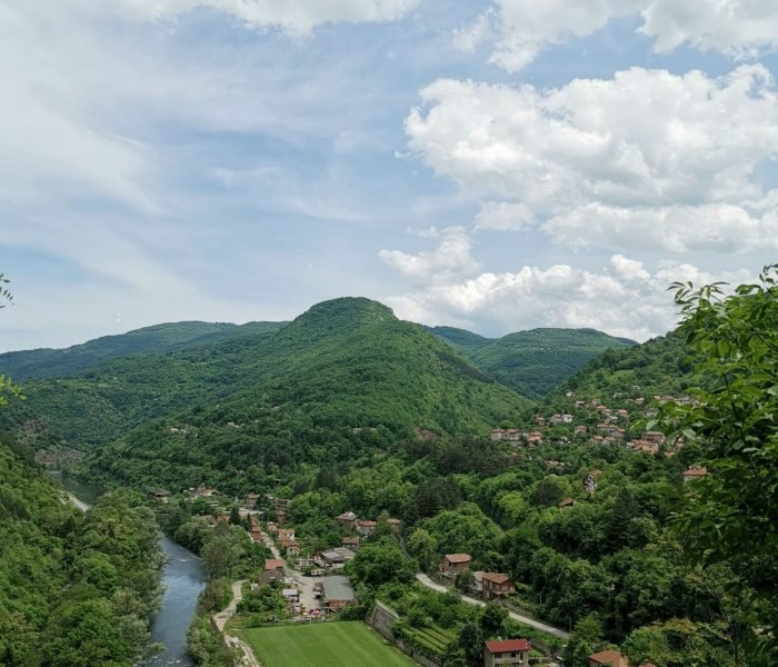 filiz-mehmed-bK7dw7Xrww0-unsplash (1)