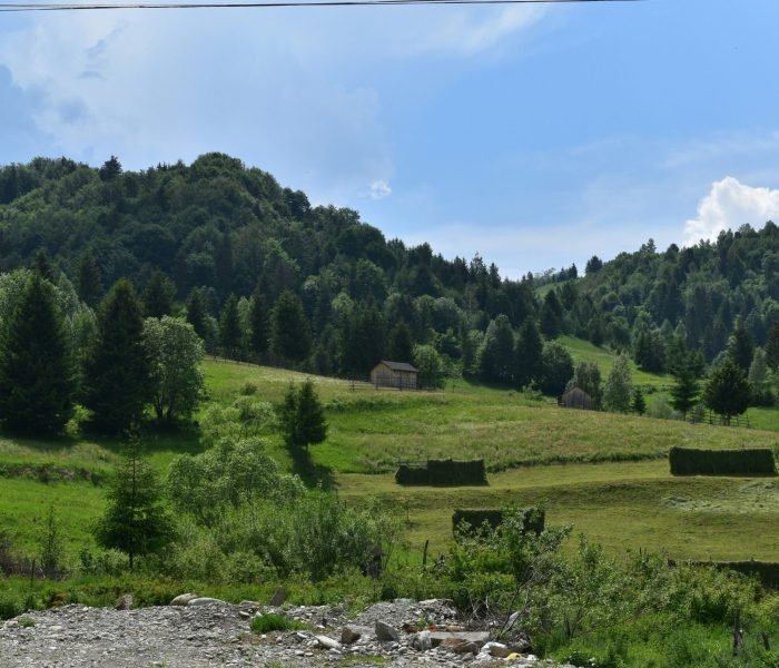 ionela-mat-L571t6ZGOwE-unsplash (1)