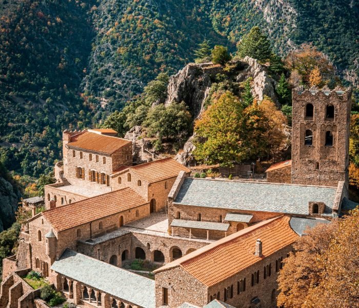 jacques-dillies-Hzm1Ju23buw-unsplash (1)