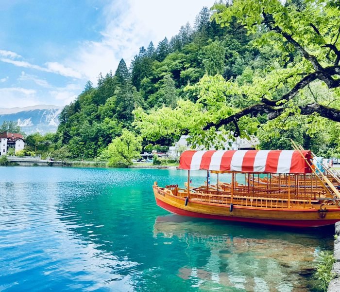 jason-thomas-NQbWpSuOJQE-unsplash (1)