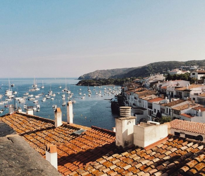 jorge-salvador-Napez4iXwrU-unsplash (1)