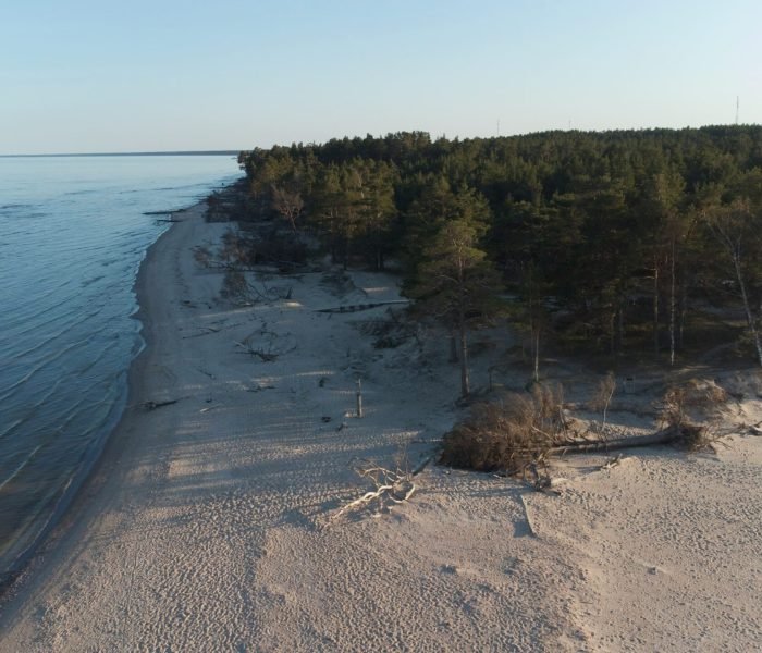 julia-gavrilenko-mMRD7_I6eao-unsplash (1)