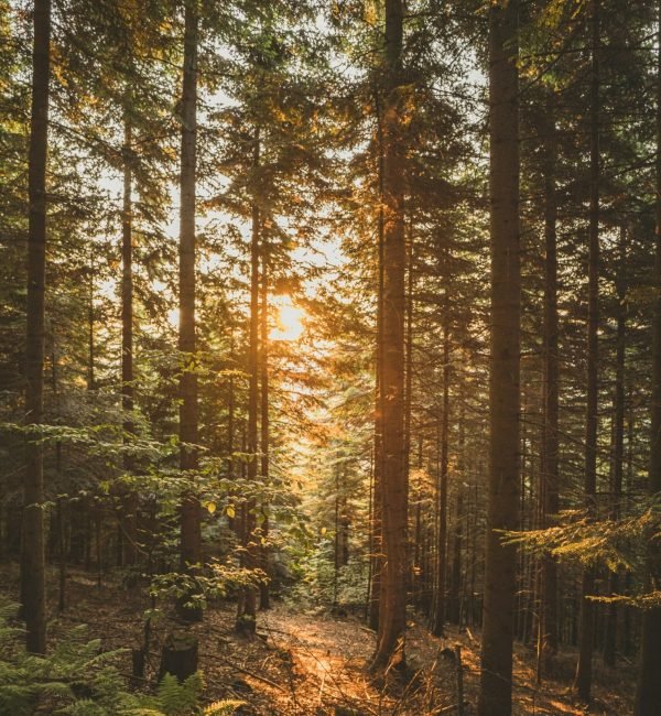 kasia-WjsyU9aHqEk-unsplash (1)