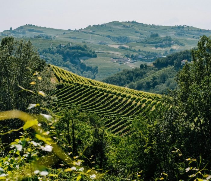 kristaps-grundsteins-eSkU9bMC2Cc-unsplash (1)