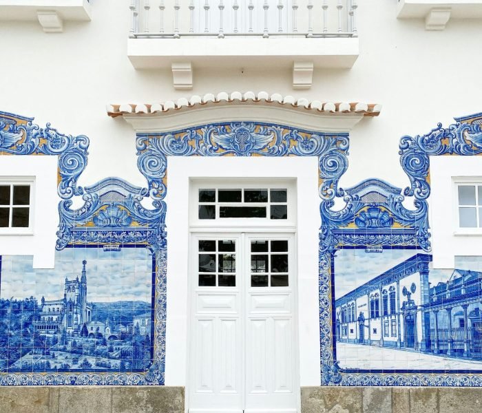 leandro-barreto-JtUNJJcxCdQ-unsplash (1)