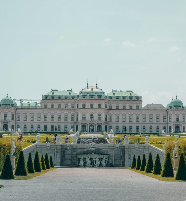 leyre-Th2MisvdKr0-unsplash (1)