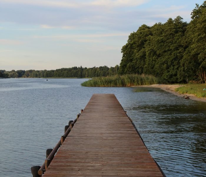 loris-tissino-nyog7PASVWc-unsplash (1)