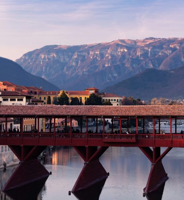 ludovico-bee-mkzr52mqXvY-unsplash (1)