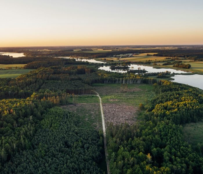 marcin-jozwiak-BSnYmolkj7s-unsplash