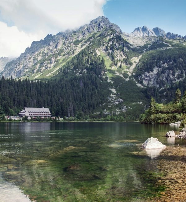 marek-levak-RErhr8r1q6s-unsplash