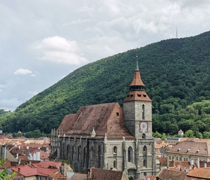 marian-mirea-m_KHbe6pfE4-unsplash (1)