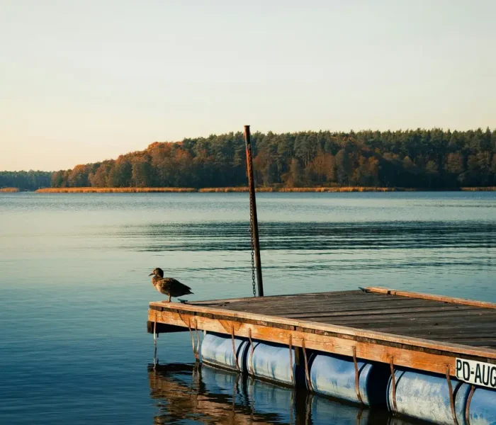 mateusz-butkiewicz-TxTiYhzGAF0-unsplash (1)