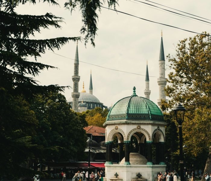 maxim-klimashin-pYNEQSBgwJQ-unsplash (1)