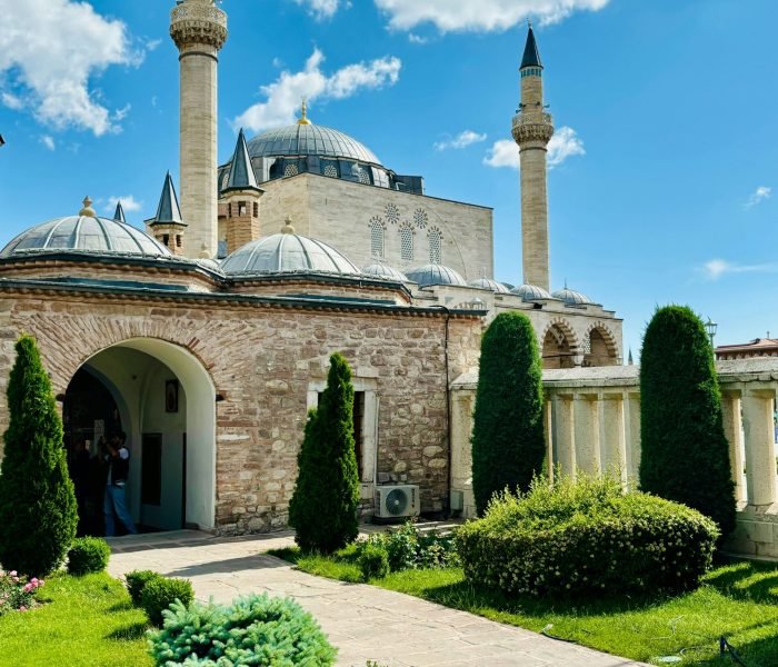 mehrdad-badiei-56vWf4hrB8g-unsplash (1)