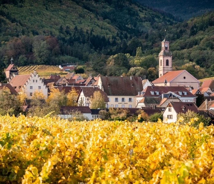 michiel-mulder-J4OTRwFnLu4-unsplash (1)