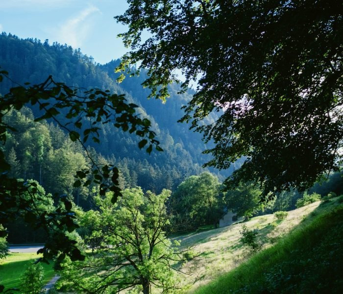 miikka-luotio-qciZF2kSZqQ-unsplash (1)