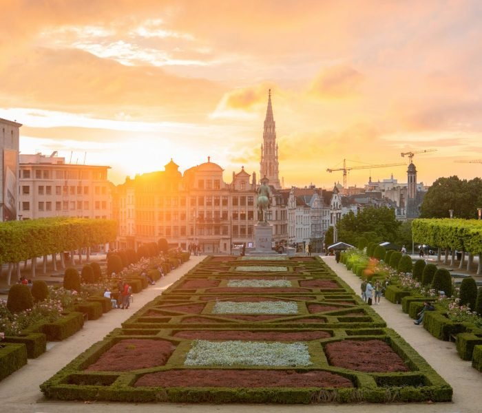 najib-samatar-SXcA2DfasvM-unsplash (1)