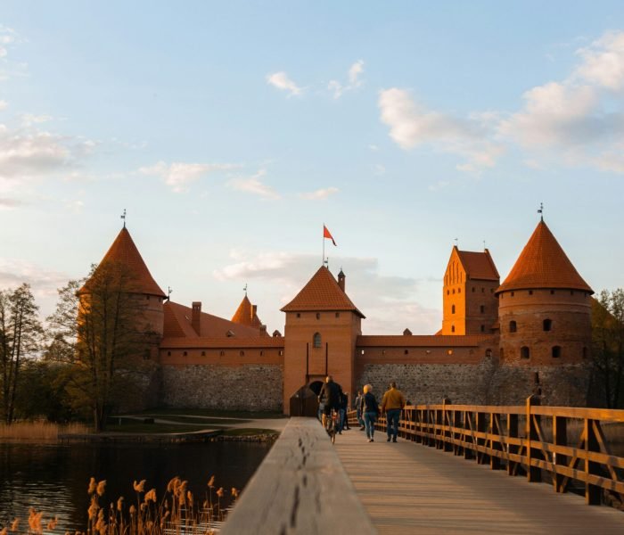 nikita-pishchugin-zZ-g0OcgLDw-unsplash (2) (1)