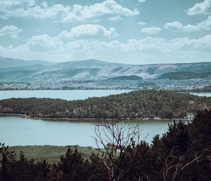 renaldo-kodra-OsYyADph1M4-unsplash (1)