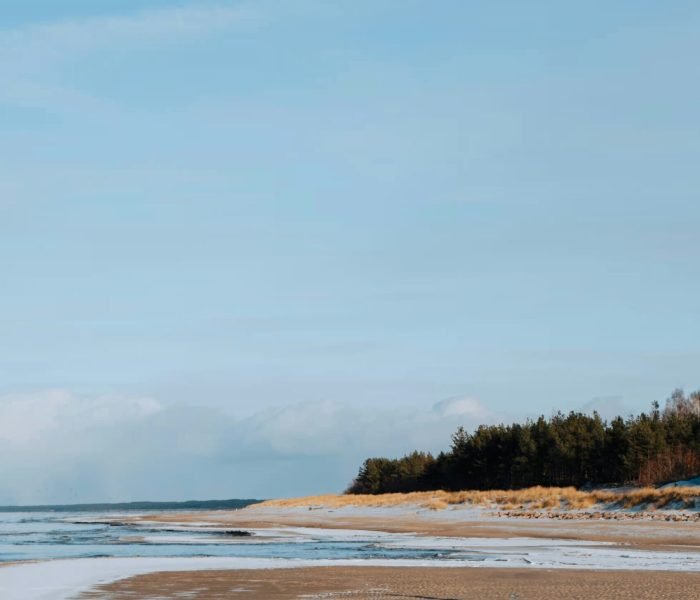 ritvars-timermanis-RHuLZhooKF8-unsplash (1)