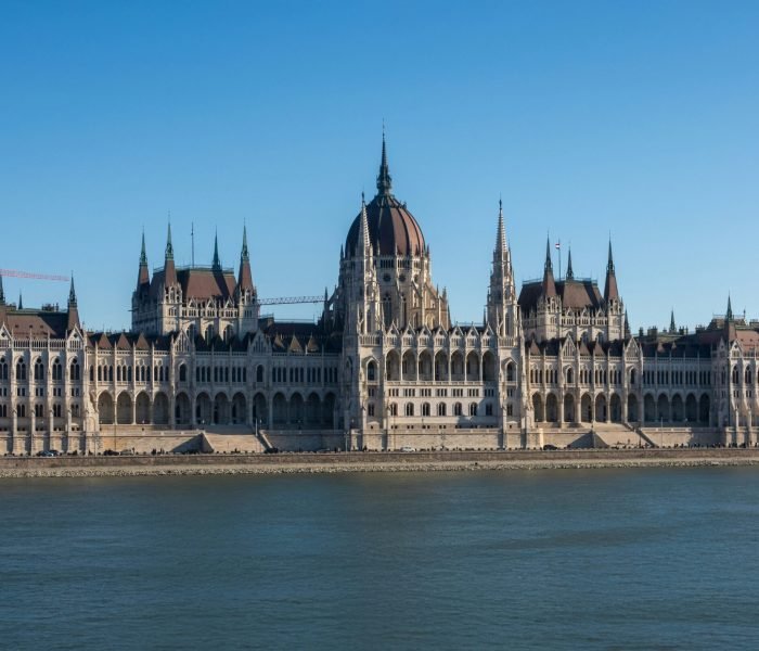 sabo-teur-BJLnQgaF8Dw-unsplash (1)