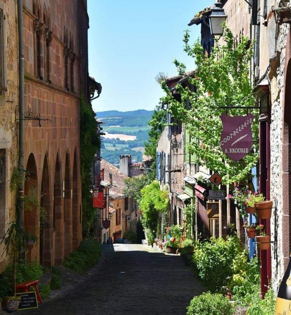 sam-bark-6rlU7FkJYTA-unsplash (1)