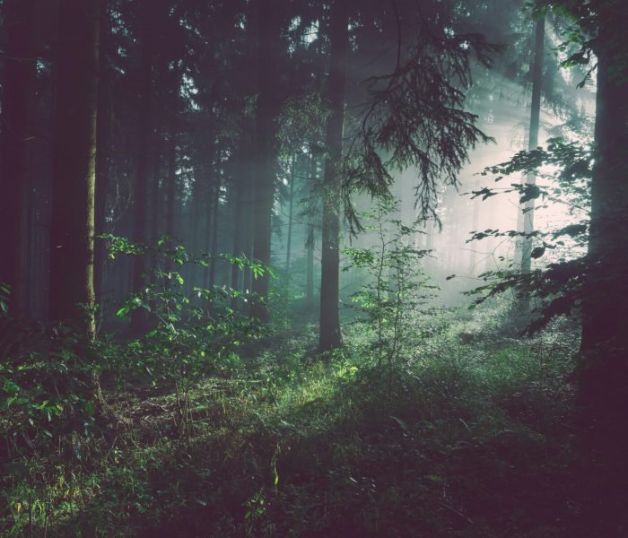 sebastian-unrau-sp-p7uuT0tw-unsplash