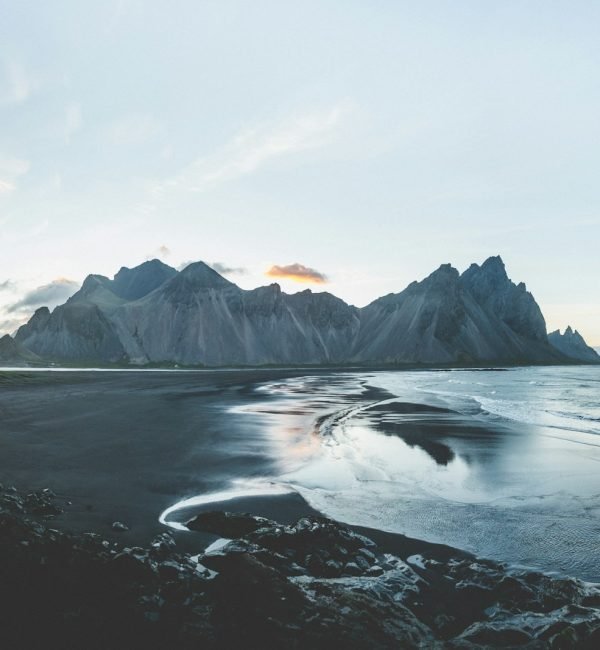 seeds-iceland-esc-cover